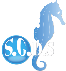 SGDS, VOTRE PARTENAIRE EN HYGIENE CORPORELLE!